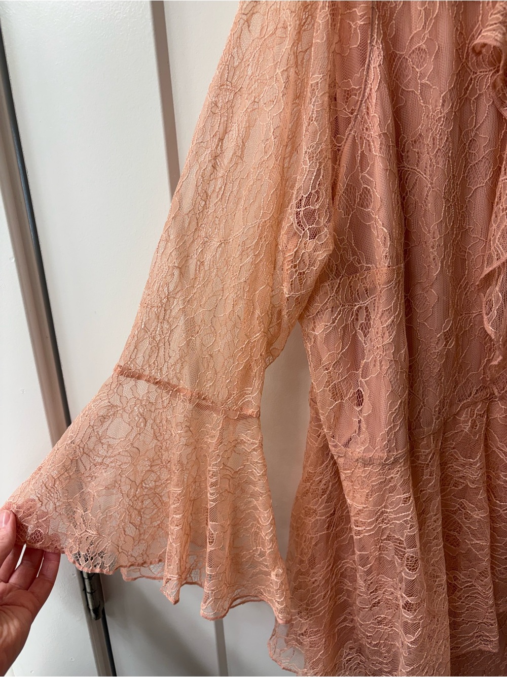 NWT ISAAC MIZRAHI LIVE! BLUSH PINK CHANTILLY LACE RUFFLE TOP SZ 20W - Picture 2 of 6